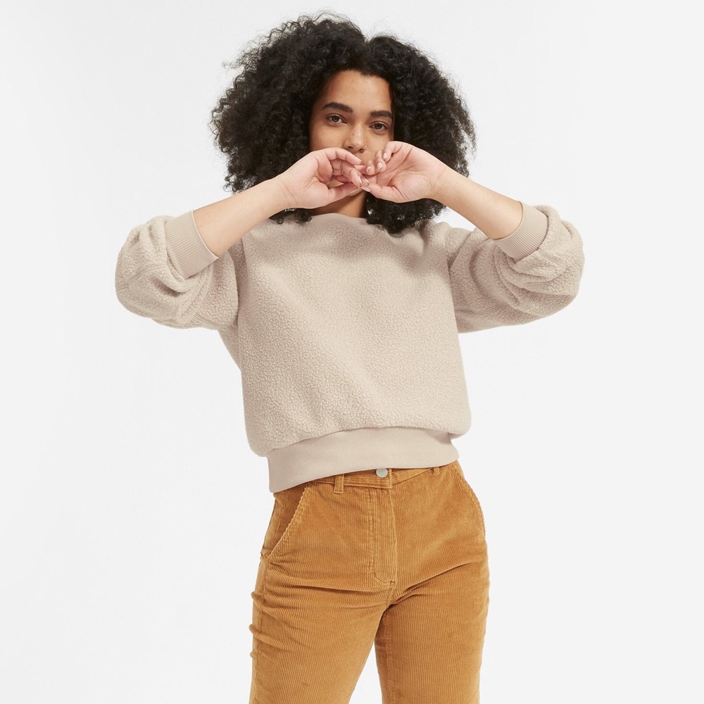 Everlane ReNew fleece oversized sweatshirt